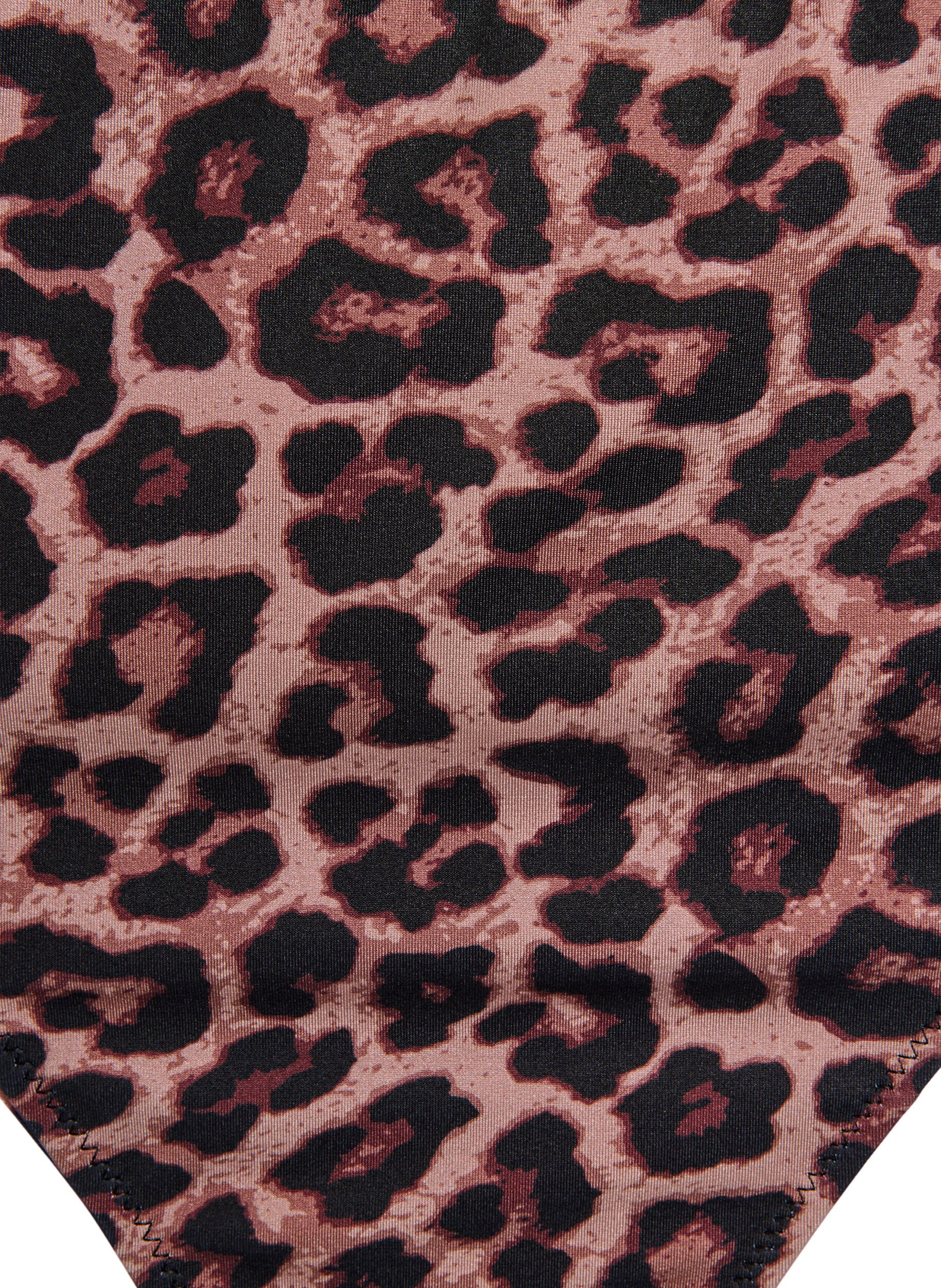 Zizzi Leopardm&ouml;nstrade brazilian-bikinitrosor, Beige, Packshot image number 2