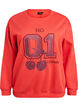Sweatshirt med motiv framtill, R&ouml;d, Packshot image number 0