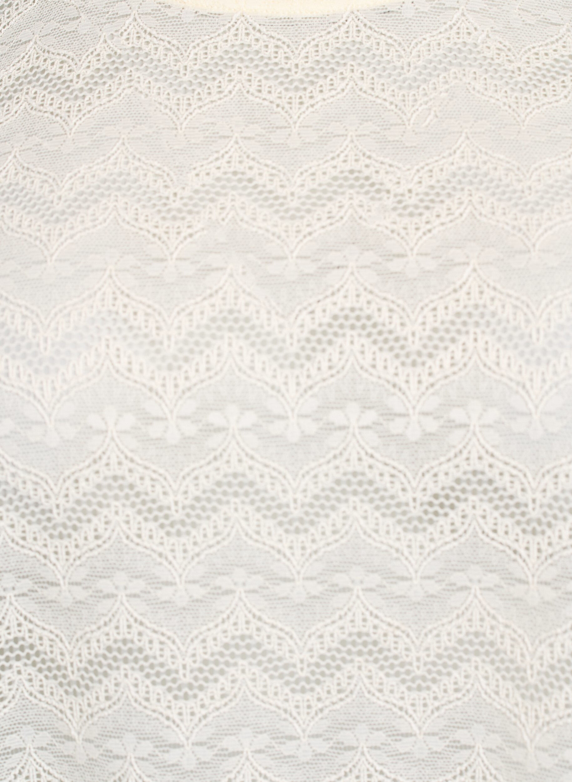 Zizzi Spetsblus med korta &auml;rmar och skulpterad f&aring;ll, Vanilla, Packshot image number 2