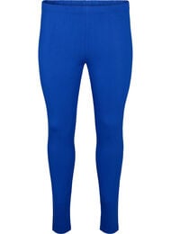 Basleggings i viskos, Bl&aring;