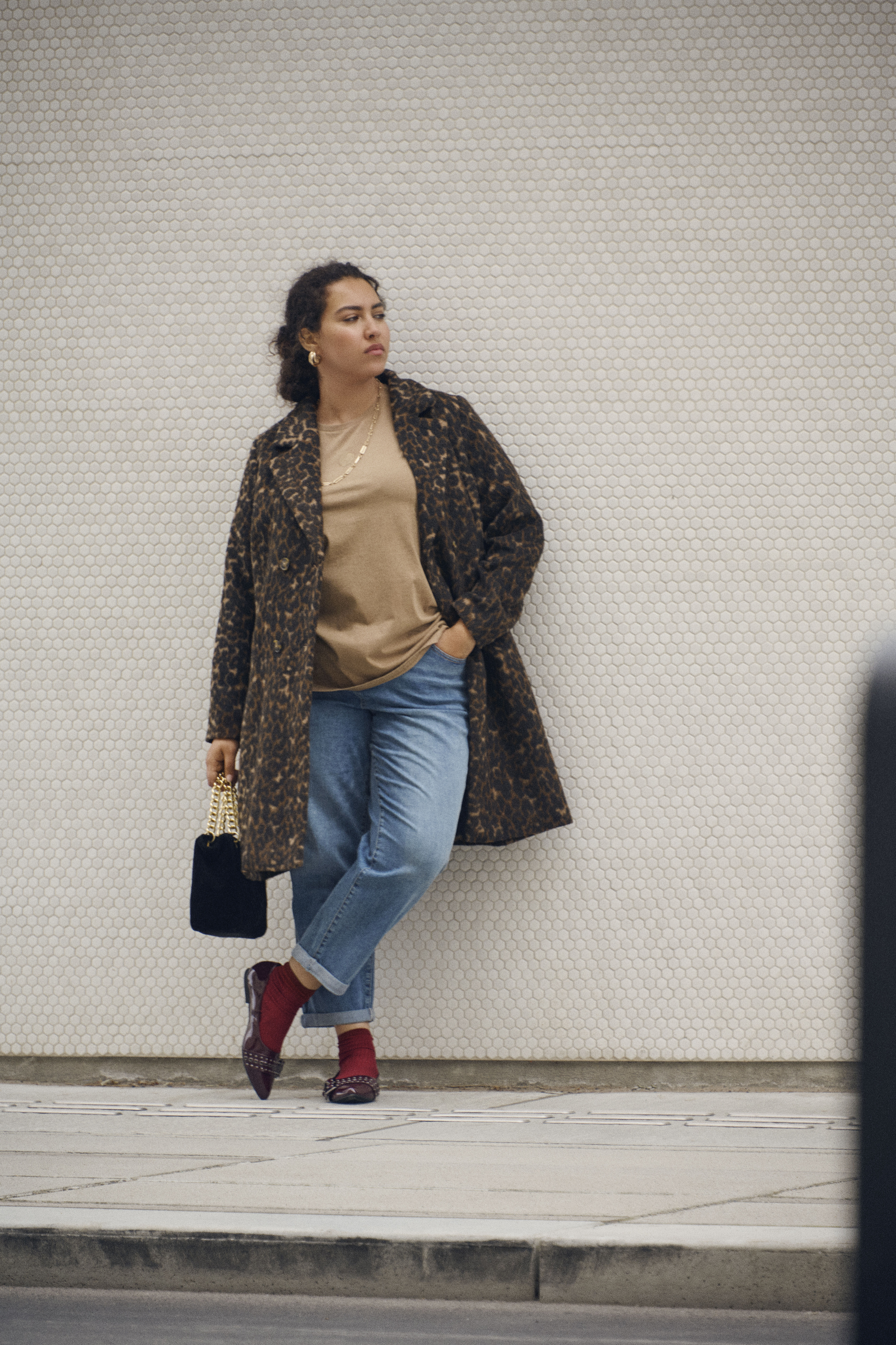 Leopard-kappa, , Model