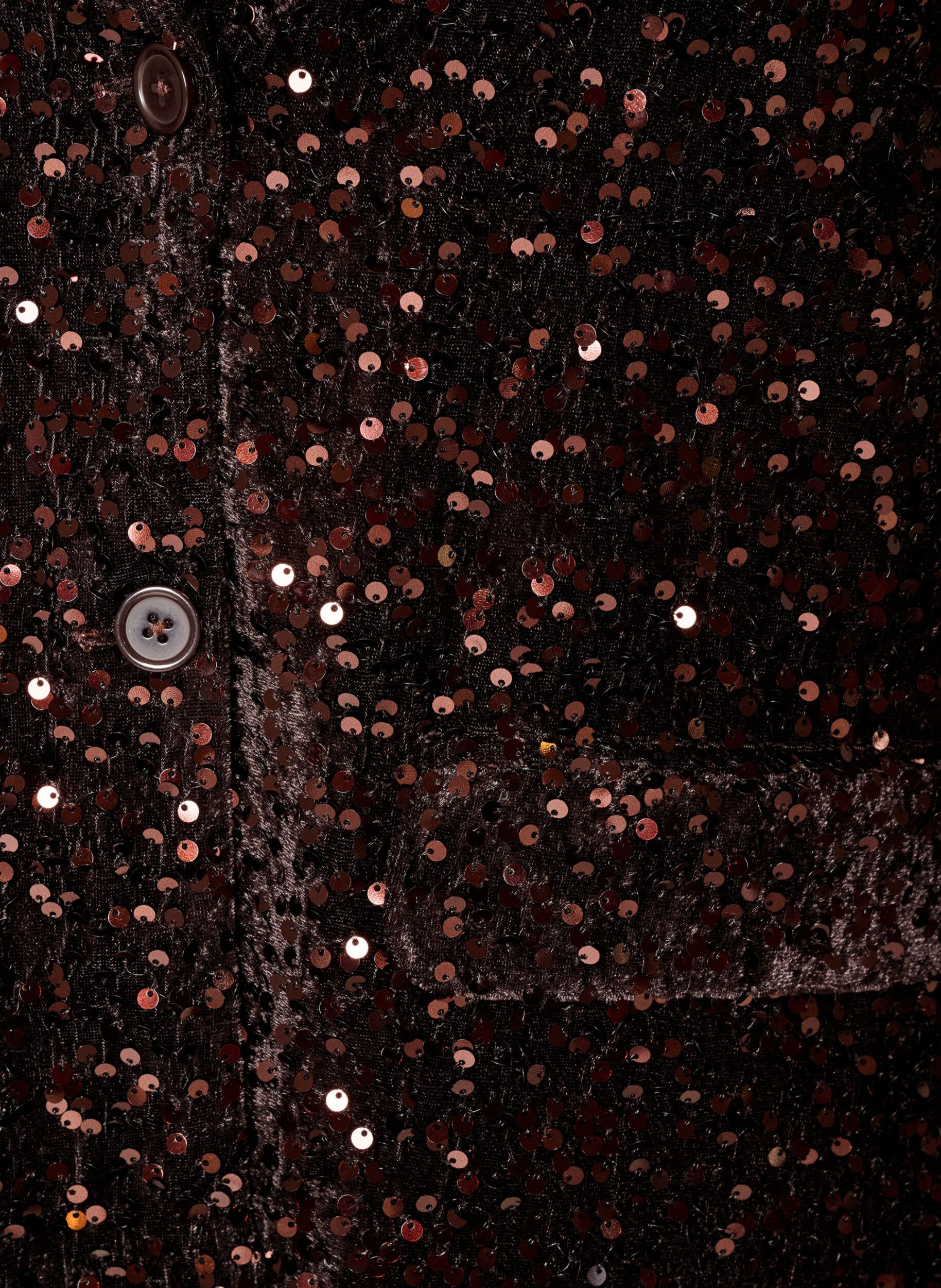 ZizziBlazer med paljetter, Brun, Packshot image number 2