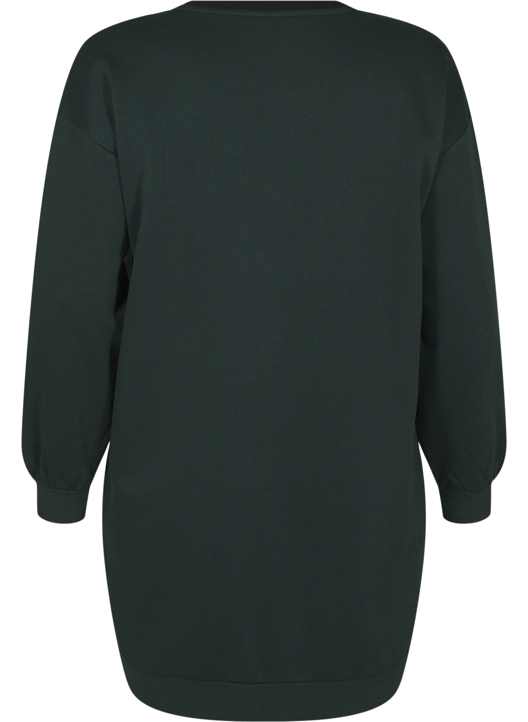 Zizzi L&aring;ng sweatshirt med f&auml;rgblock, Scarab Color Block, Packshot image number 1