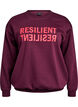 Sweatshirt i tryck, R&ouml;d, Packshot image number 0