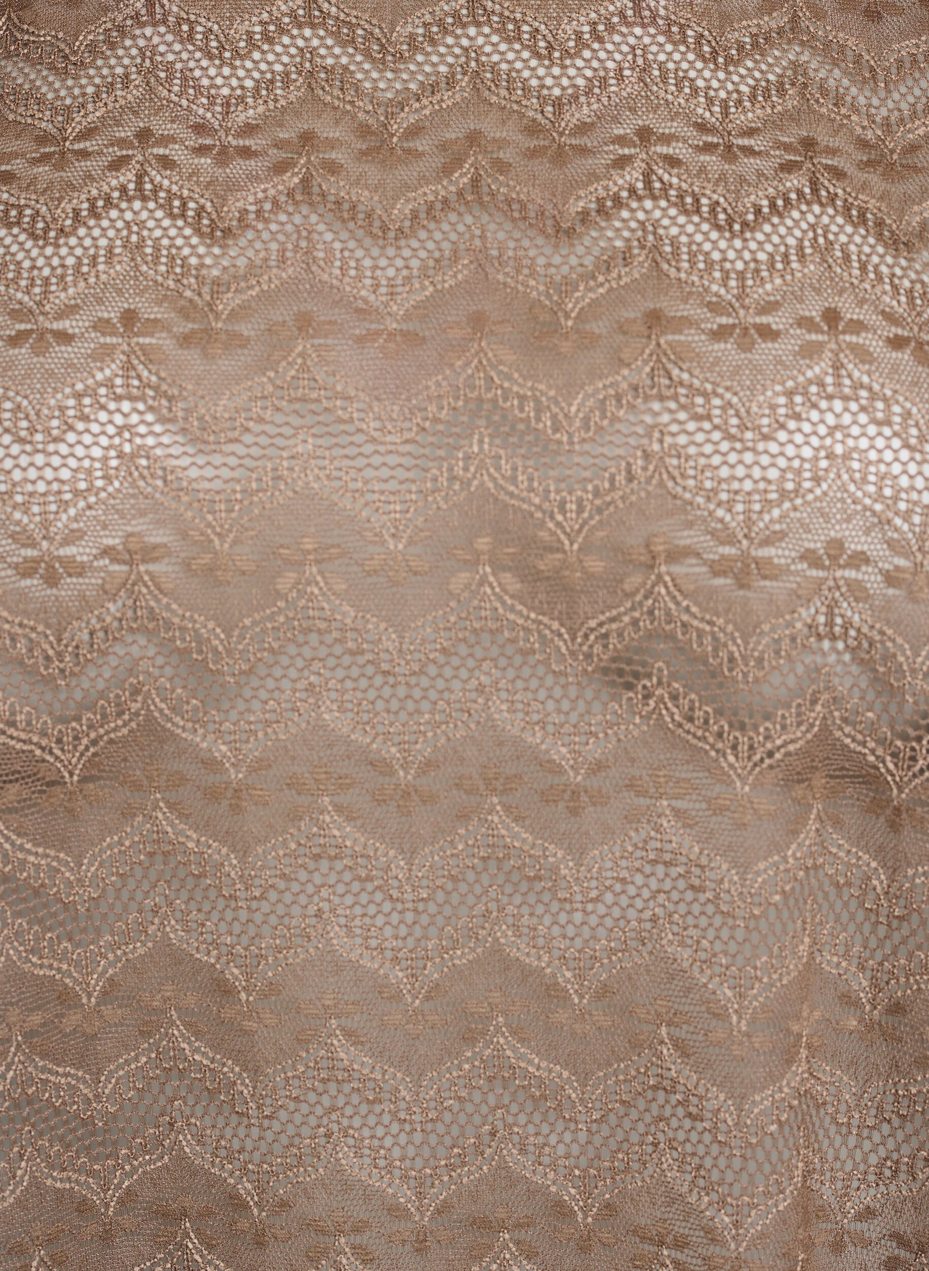 Zizzi Spetsblus med korta &auml;rmar och skulpterad f&aring;ll, Brun, Packshot image number 2